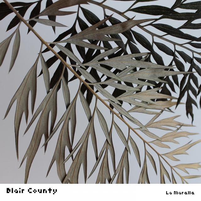 Couverture de Blair County