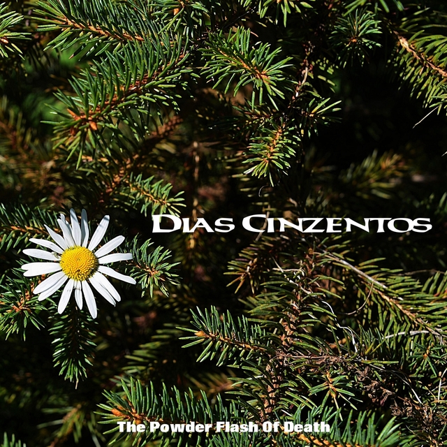 Couverture de Dias Cinzentos