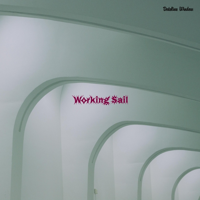 Couverture de Working Sail