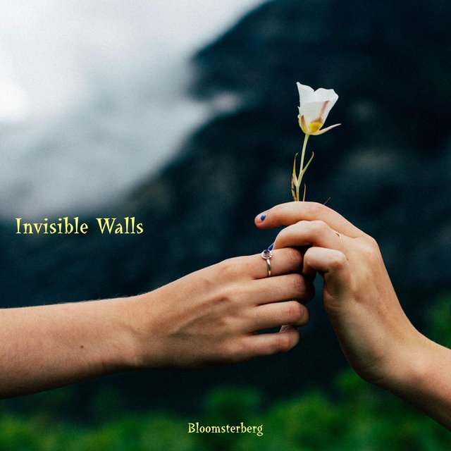 Couverture de Invisible Walls