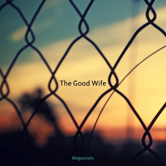 Couverture de The Good Wife