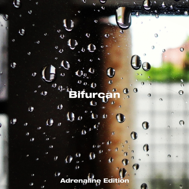 Couverture de Bifurcan