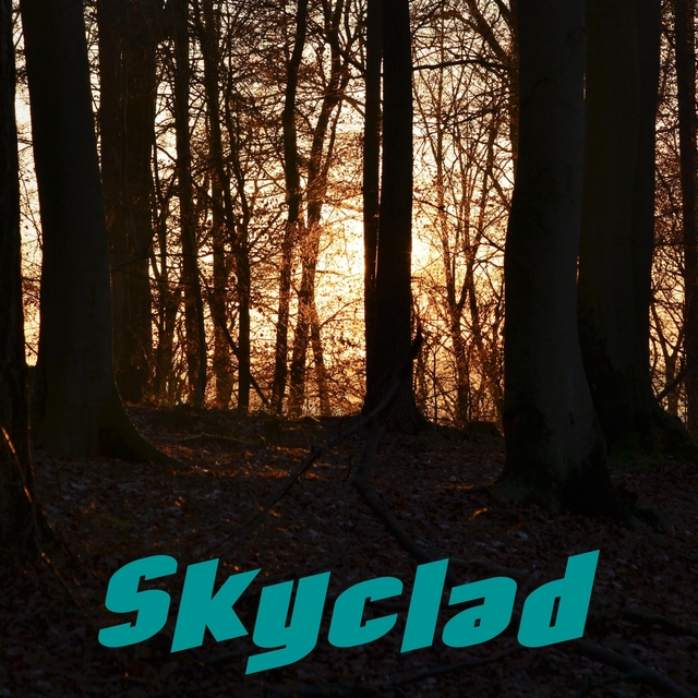 Couverture de Skyclad