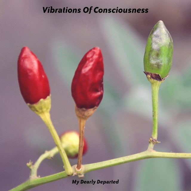 Couverture de Vibrations Of Consciousness