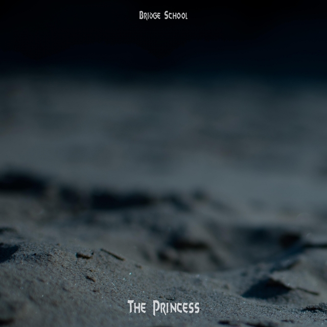 Couverture de The Princess