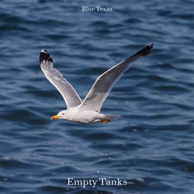 Couverture de Empty Tanks