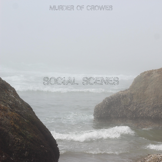 Couverture de Social Scenes