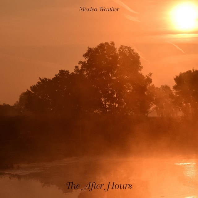 Couverture de The After Hours