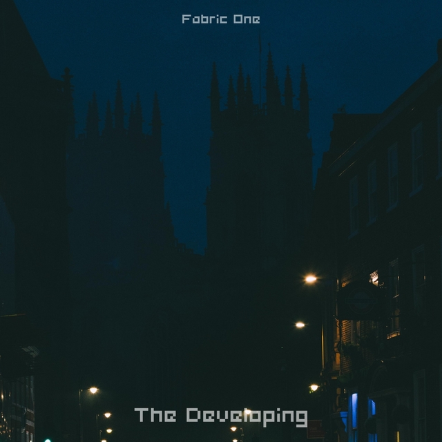 Couverture de The Developing