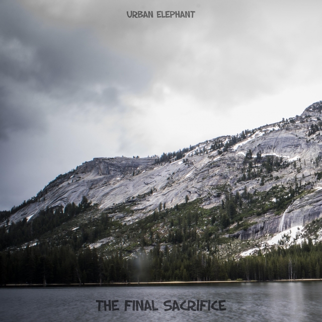 Couverture de The Final Sacrifice