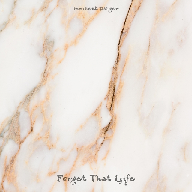 Couverture de Forget That Life