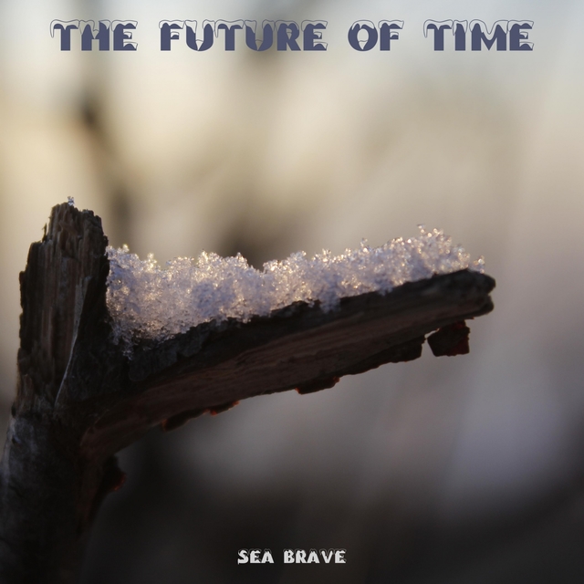 Couverture de The Future Of Time