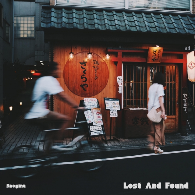 Couverture de Lost And Found