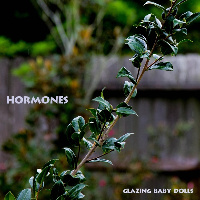 Hormones