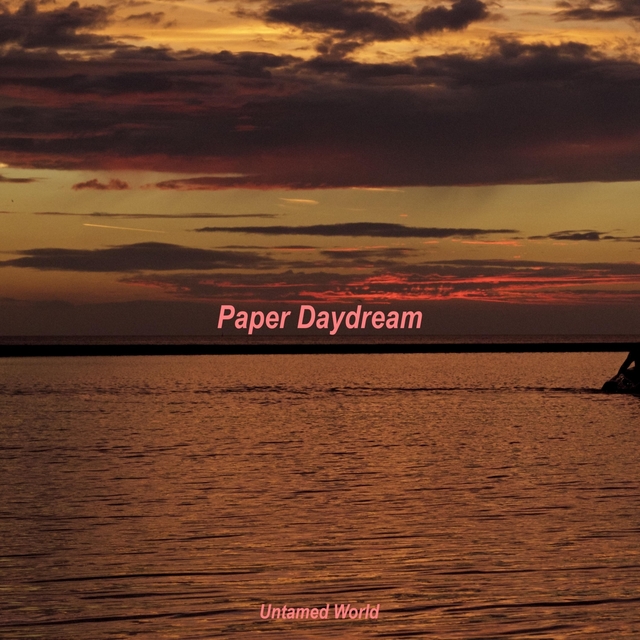 Couverture de Paper Daydream