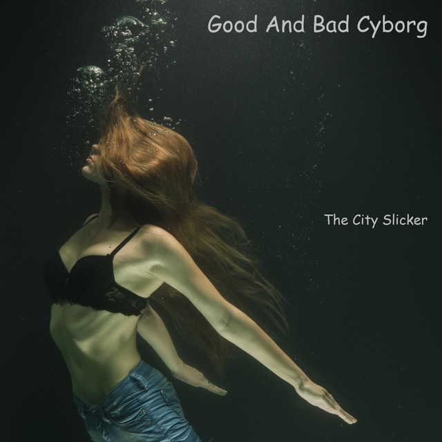 Couverture de Good And Bad Cyborg