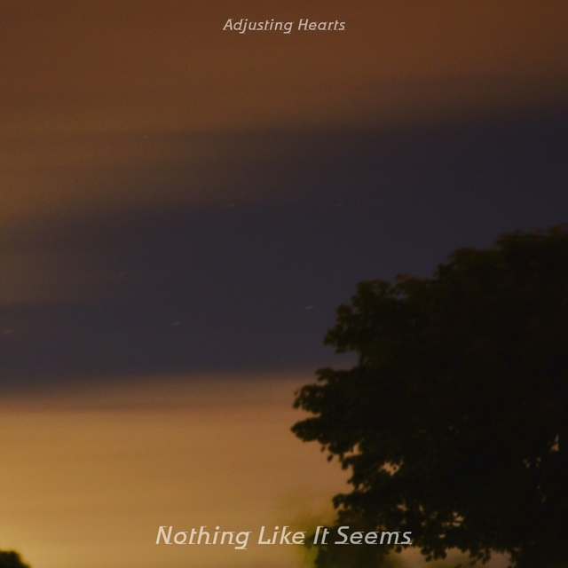 Couverture de Nothing Like It Seems