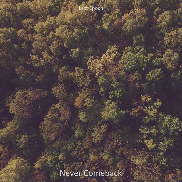 Couverture de Never Comeback