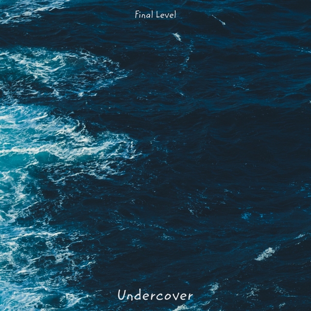 Couverture de Undercover