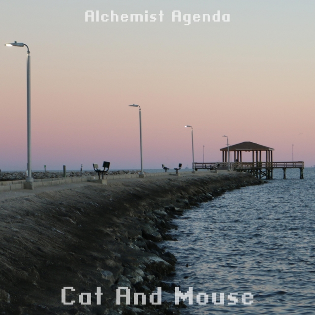 Couverture de Cat And Mouse