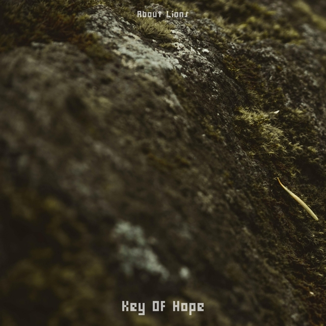 Key Of Hope