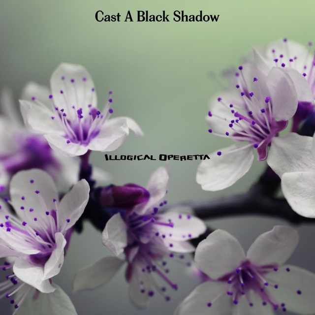 Cast A Black Shadow