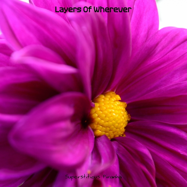 Couverture de Layers Of Wherever