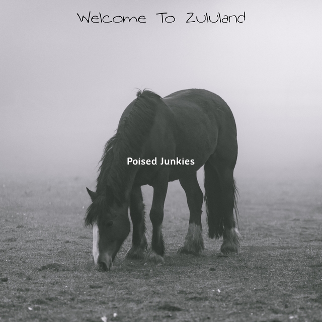 Couverture de Welcome To Zululand