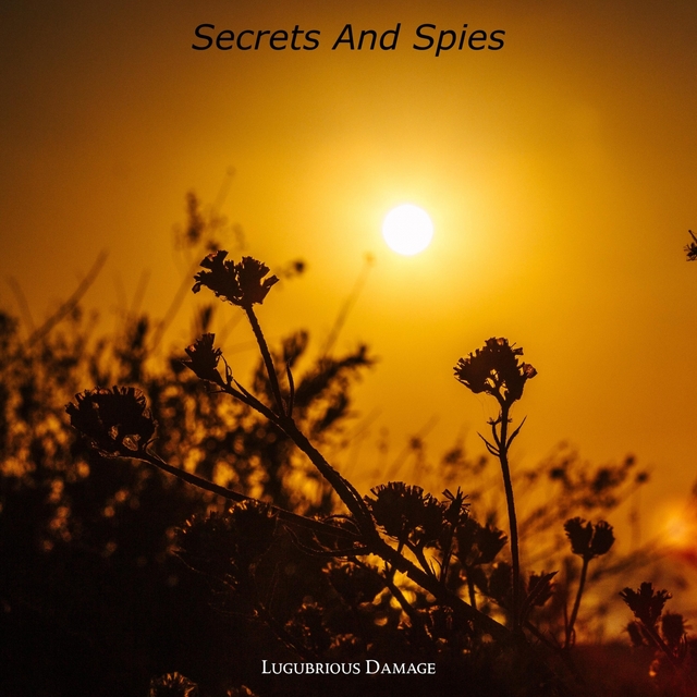 Couverture de Secrets And Spies