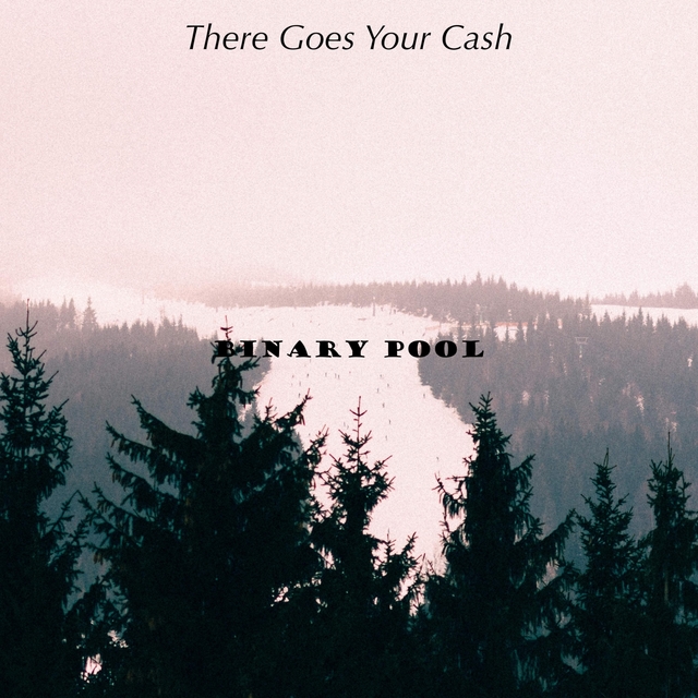 Couverture de There Goes Your Cash