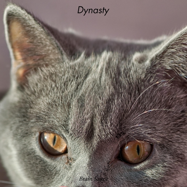 Couverture de Dynasty