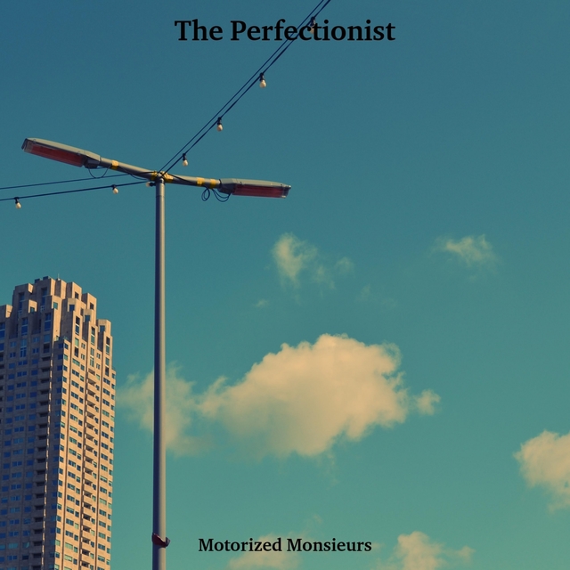 Couverture de The Perfectionist