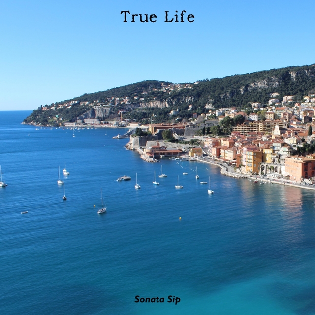 Couverture de True Life