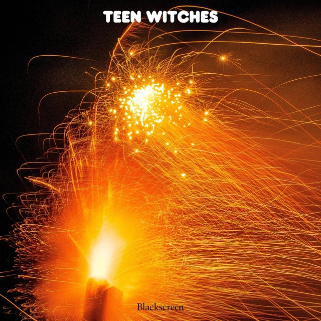 Couverture de Teen Witches