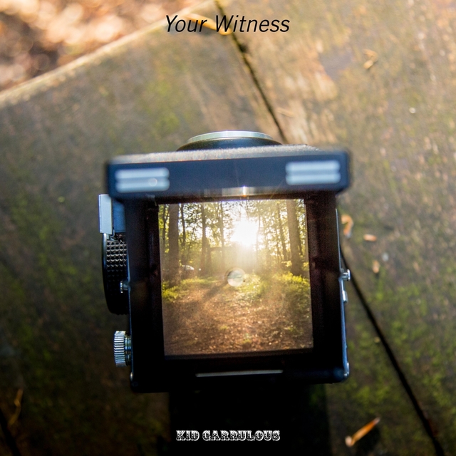 Couverture de Your Witness