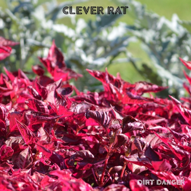 Couverture de Clever Rat