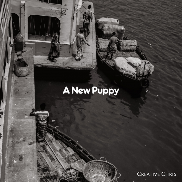 Couverture de A New Puppy