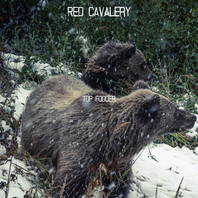Red Cavalery