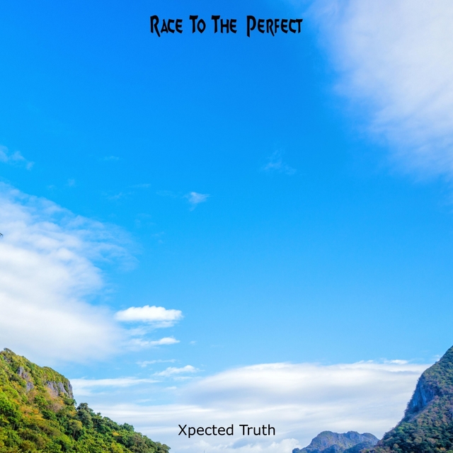 Couverture de Race To The Perfect