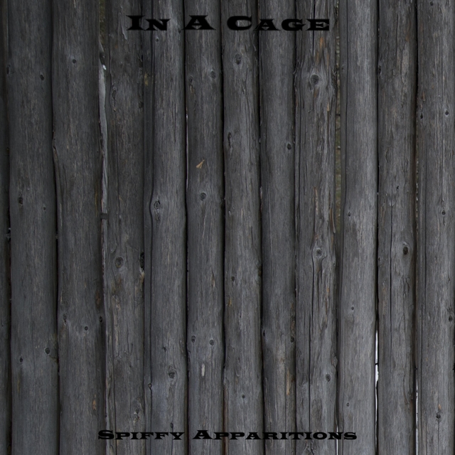 Couverture de In A Cage