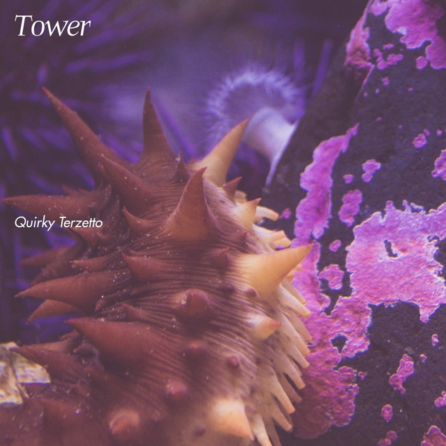 Couverture de Tower