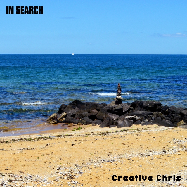 Couverture de In Search