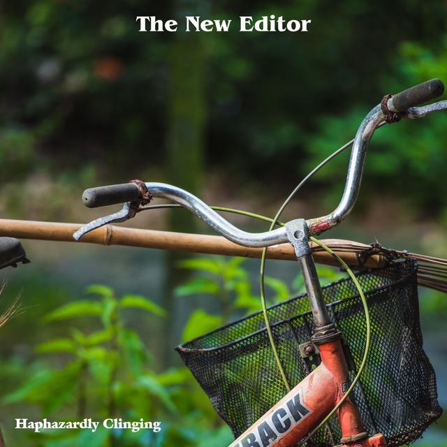 Couverture de The New Editor