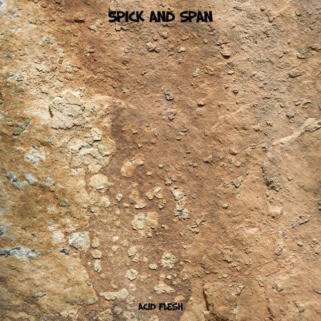 Couverture de Spick And Span