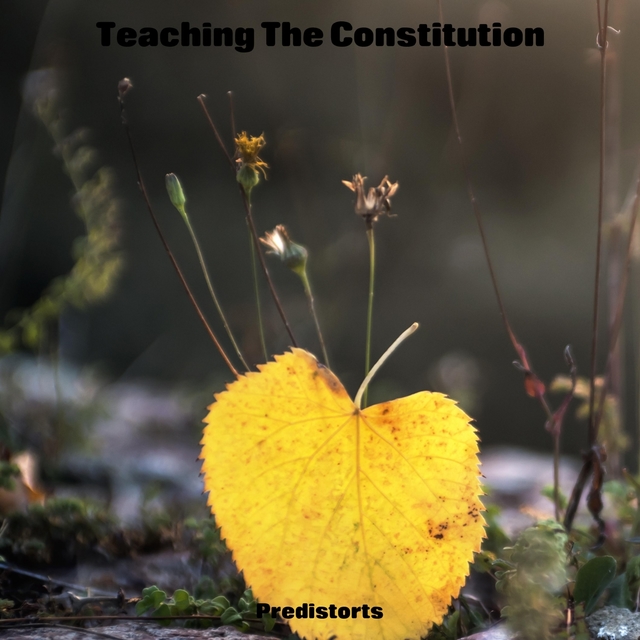 Couverture de Teaching The Constitution