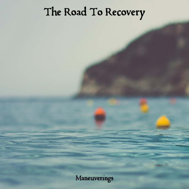 Couverture de The Road To Recovery