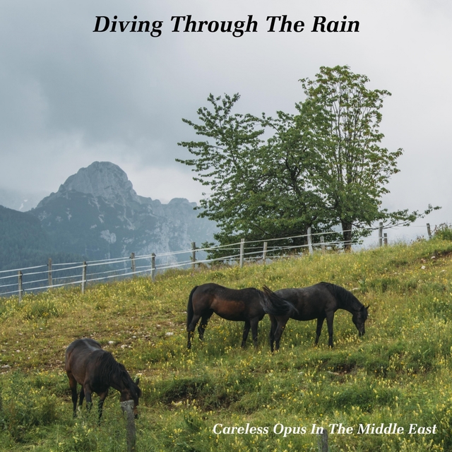 Couverture de Diving Through The Rain