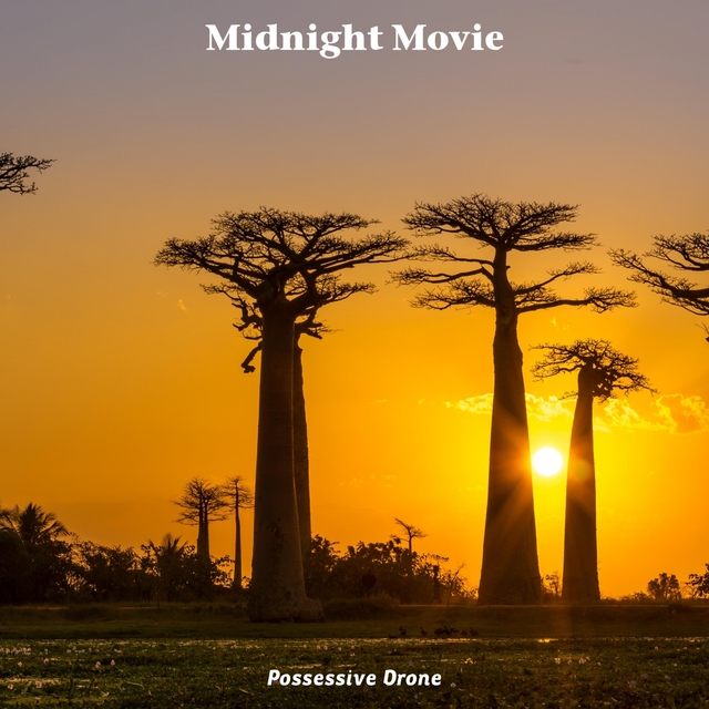 Couverture de Midnight Movie