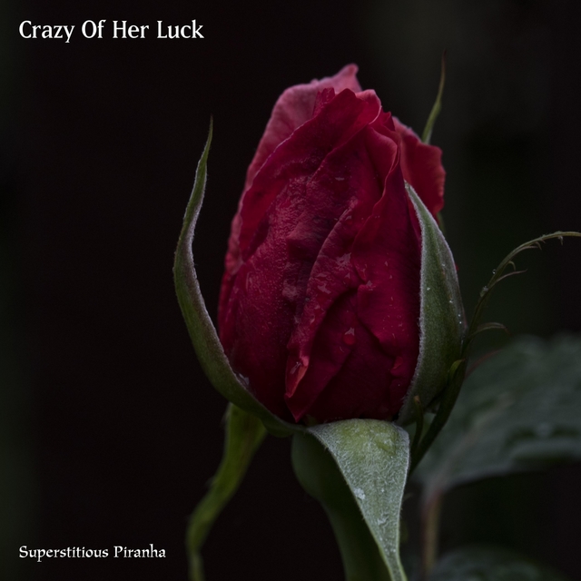 Couverture de Crazy Of Her Luck