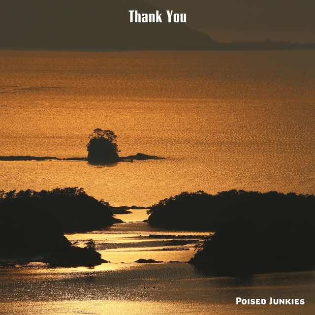 Couverture de Thank You